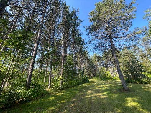 40699 Jack Pine Road, Bagley, MN 56621