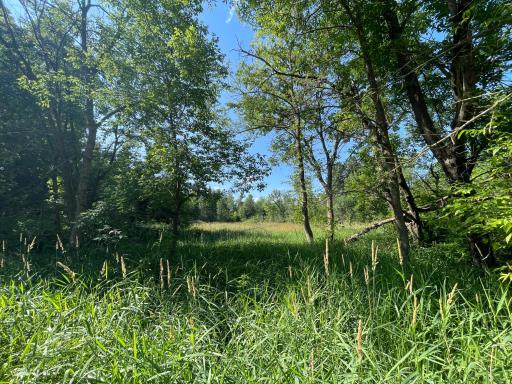 40699 Jack Pine Road, Bagley, MN 56621