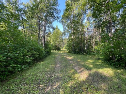 40699 Jack Pine Road, Bagley, MN 56621