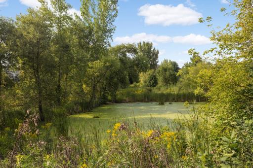 18383 Lafayette Way, Lakeville, MN 55044