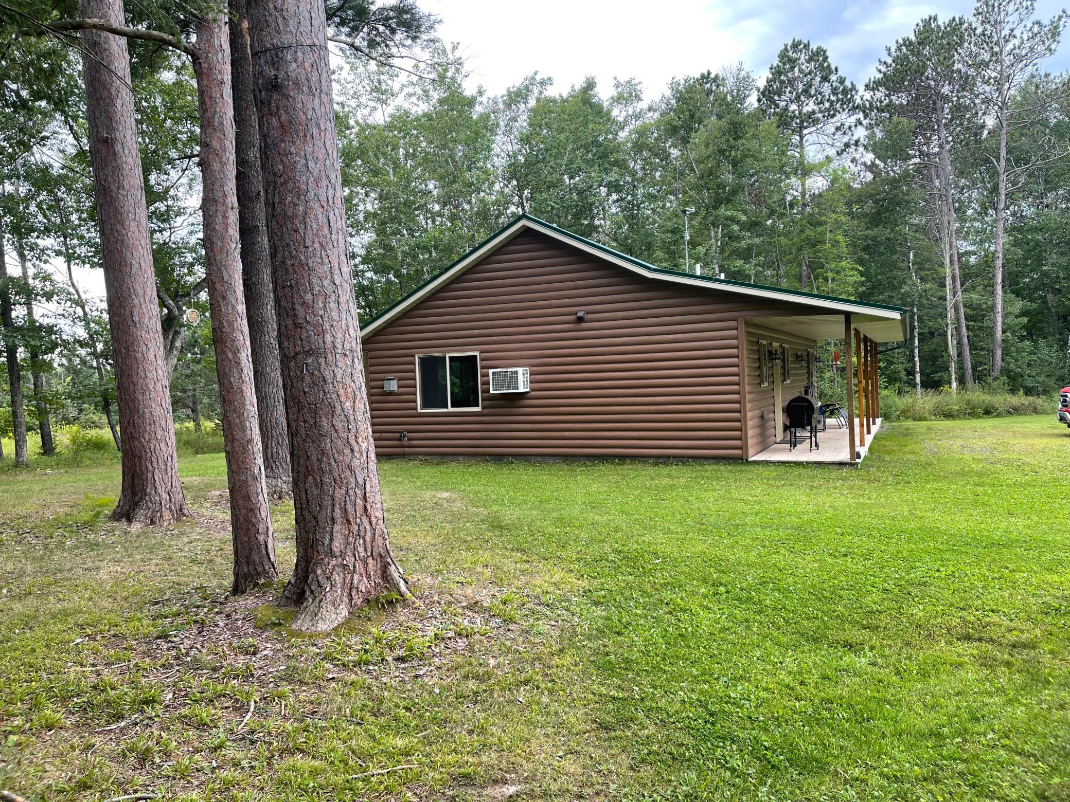 Large Pine Yard Trees