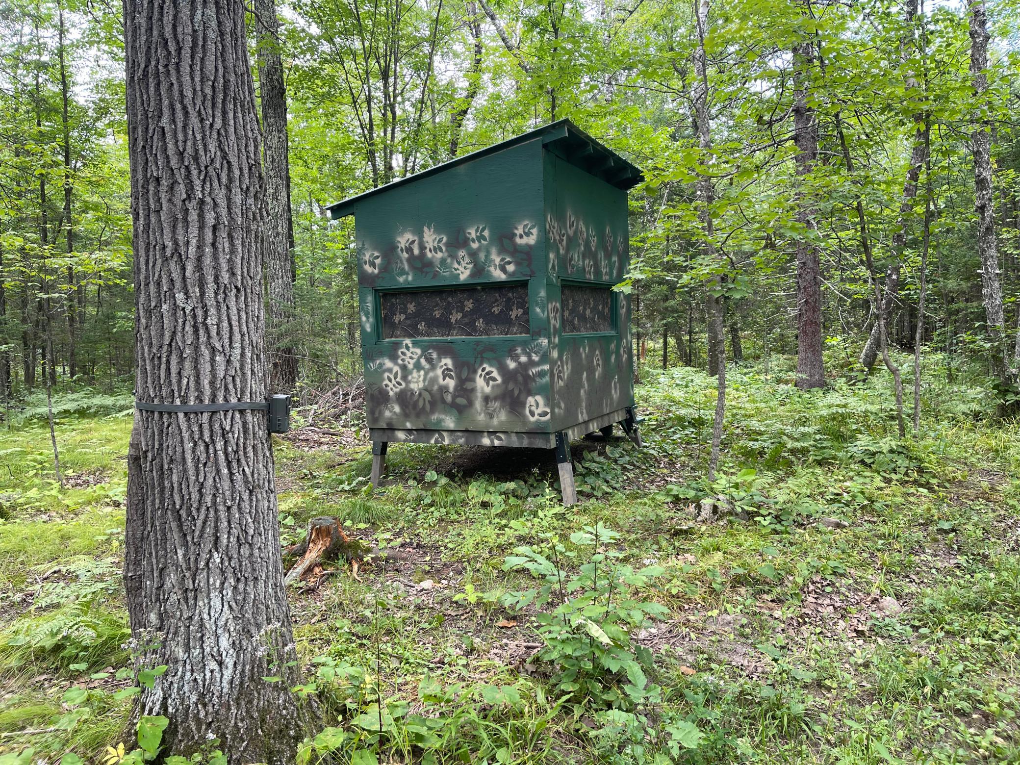 Deer Stand