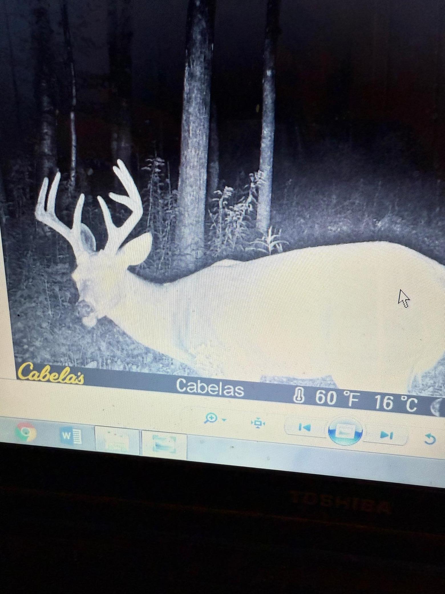 Game Camera
