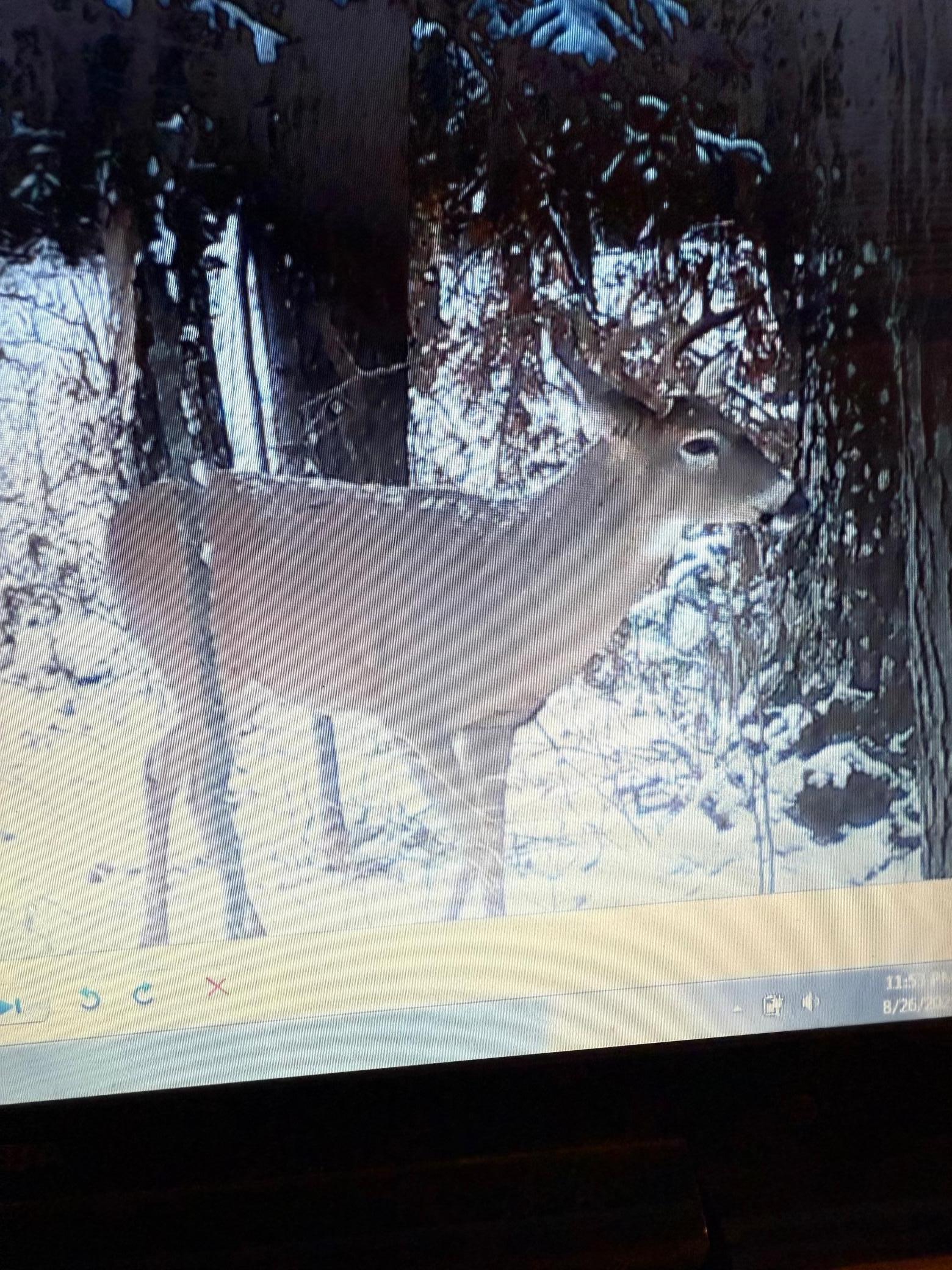 Game Camera