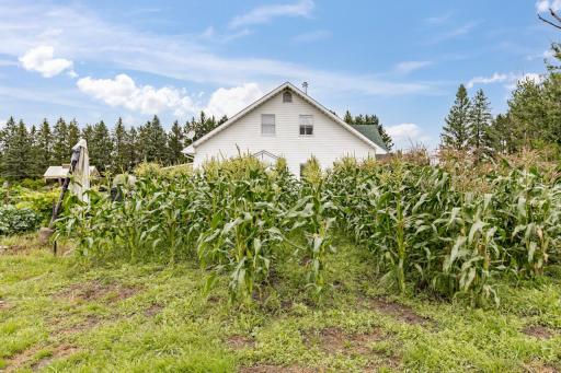3723 Birchwood Road, Kettle River, MN 55757