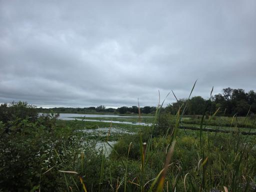 Accessible shoreline to the main part of 791 acre Goose Lake