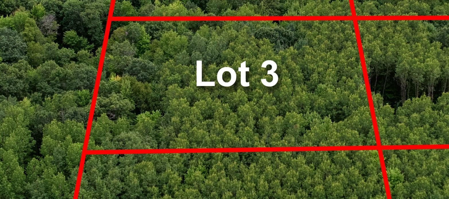 2 MN MLS.jpg