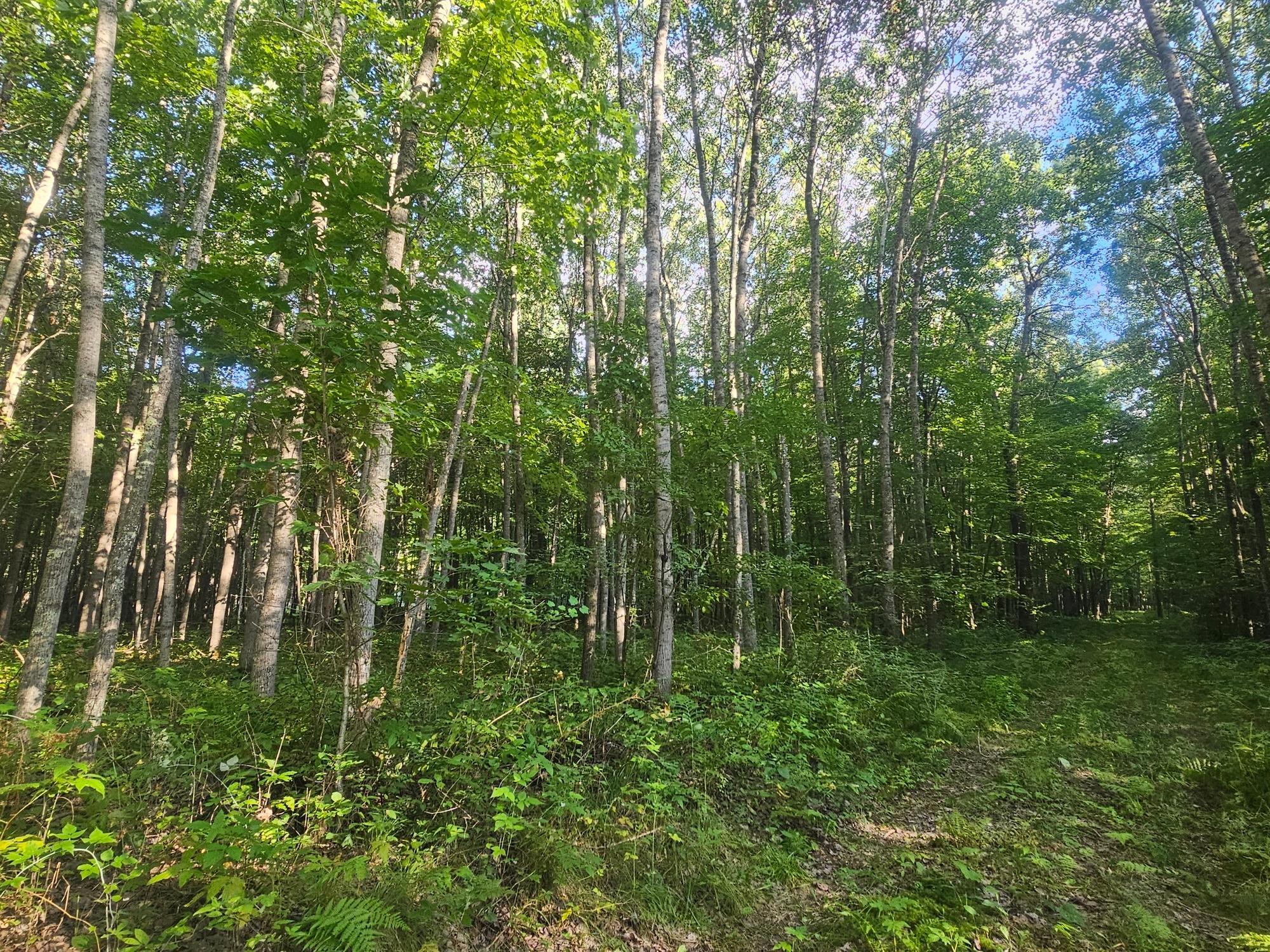 Property photo for Lot 3 Ken Can Lane, Webster, WI 54893