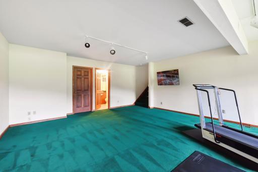 Fifth lower level bedroom with ensuite