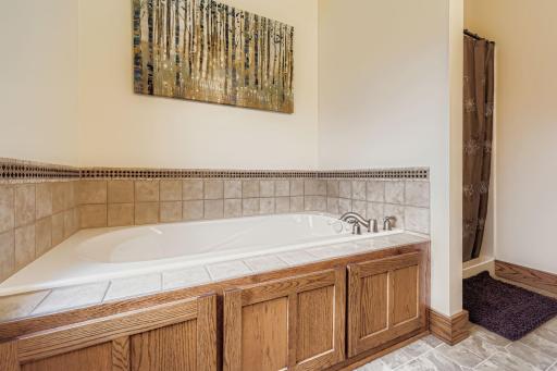 540 S Creek Drive N, Champlin, MN 55316