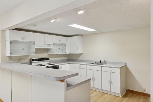 The lower level boasts a 2nd Kitchen!