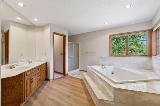 Owner's Suite with spa-like Bath