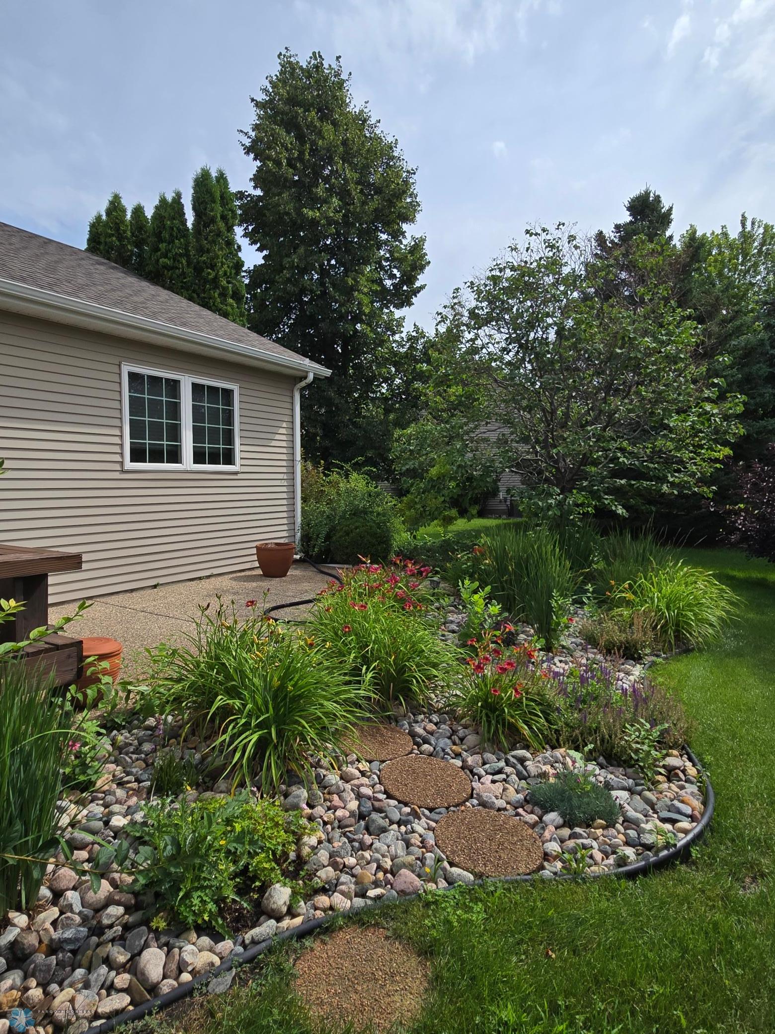 Backyard .jpg
