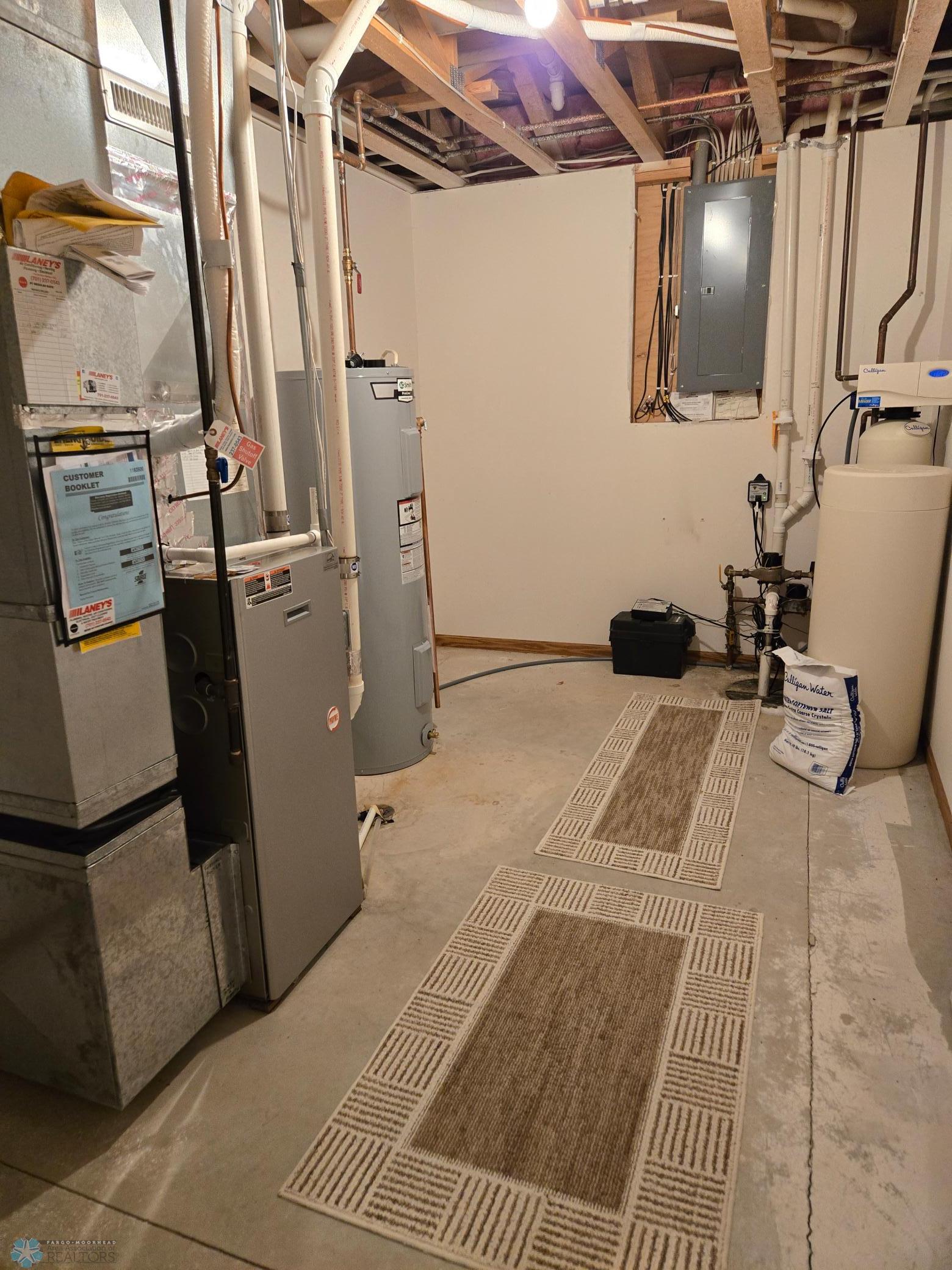 Mechanicals Room - lower level.jpg