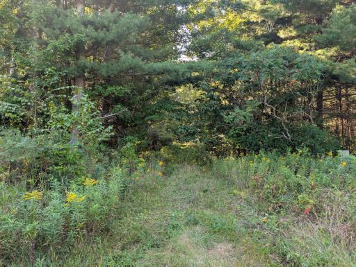 entrance of clayton.jpg