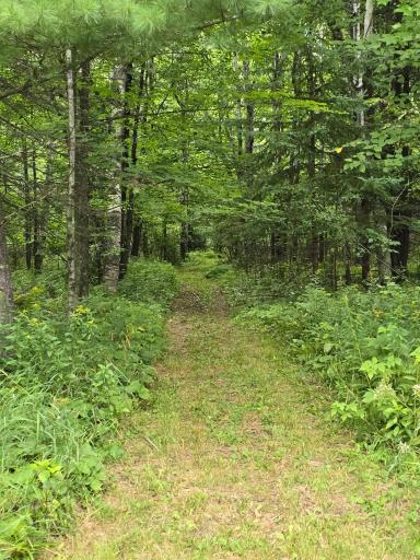 284 Bergman Road, Cloquet, MN 55720