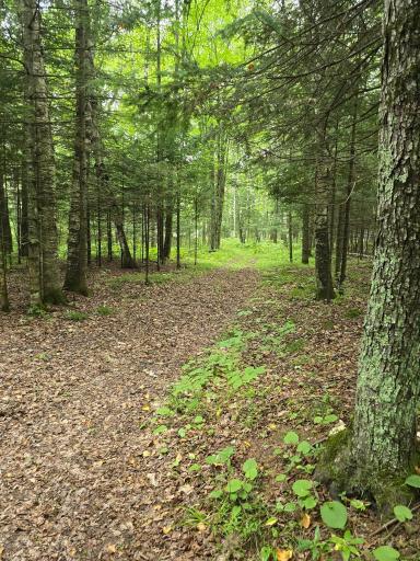 284 Bergman Road, Cloquet, MN 55720