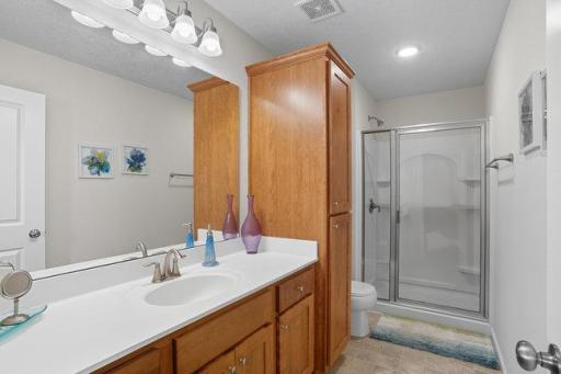 856 Hickory Curve, Watertown, MN 55388