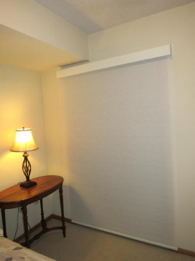 Big double closet in the lower level bedroom.