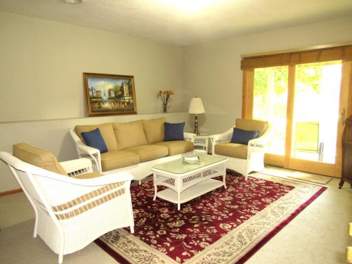 Lower level family room with doors to the lower patio.