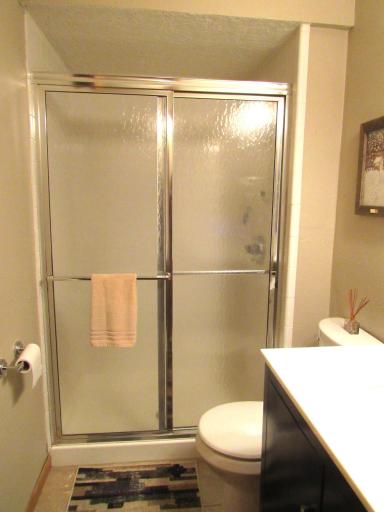 Very nice lower level bath with walk-in shower, ceramic tiled floors and shower surround is also tiled.