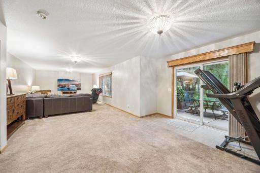 Large flex area with a walk-out lower level - access to the patio and private backyard.