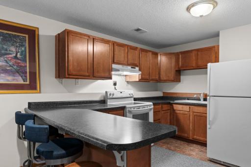 46920 Anchor Avenue, Stanchfield, MN 55080