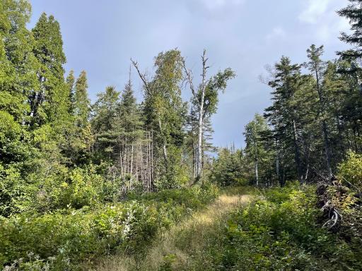 104X Main Street, Beaver Bay, MN 55614