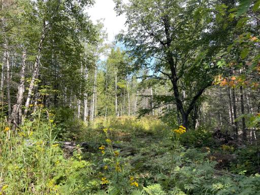 104X Main Street, Beaver Bay, MN 55614