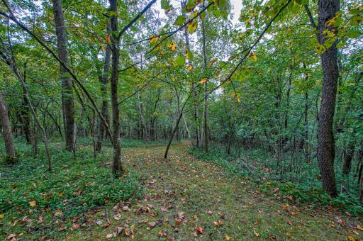 15033 Afton Hills Drive S, Afton, MN 55001