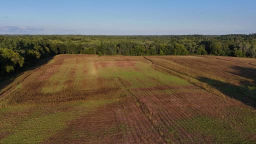 37XXX Verdin Street NW, Stanchfield, MN 55080