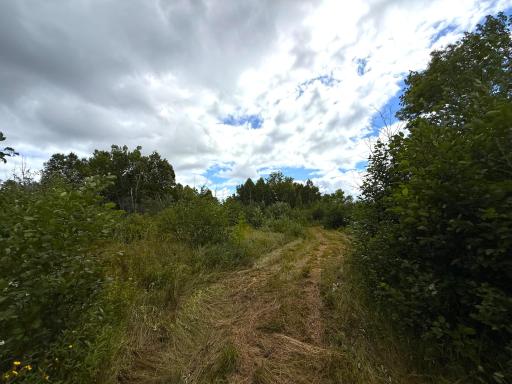 XXX 350th Avenue, Hill City, MN 55748