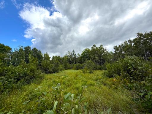 XXX 350th Avenue, Hill City, MN 55748