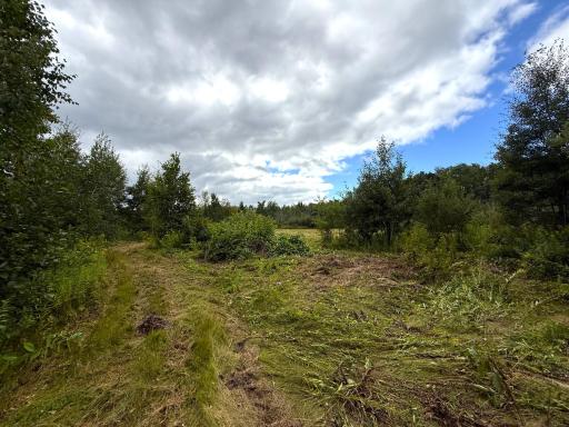 XXX 350th Avenue, Hill City, MN 55748