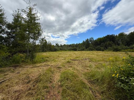 XXX 350th Avenue, Hill City, MN 55748