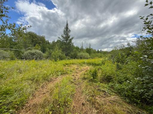 XXX 350th Avenue, Hill City, MN 55748