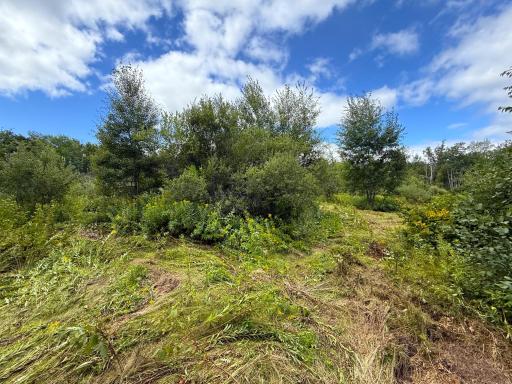 XXX 350th Avenue, Hill City, MN 55748