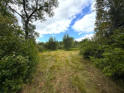 XXX 350th Avenue, Hill City, MN 55748