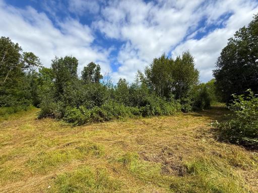 XXX 350th Avenue, Hill City, MN 55748