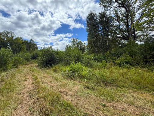 XXX 350th Avenue, Hill City, MN 55748