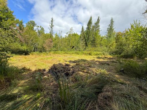XXX 350th Avenue, Hill City, MN 55748