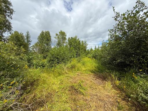 XXX 350th Avenue, Hill City, MN 55748