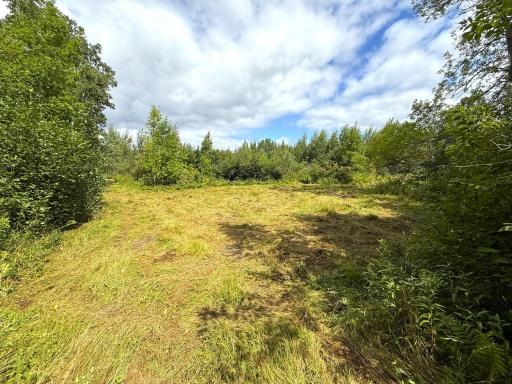 XXX 350th Avenue, Hill City, MN 55748