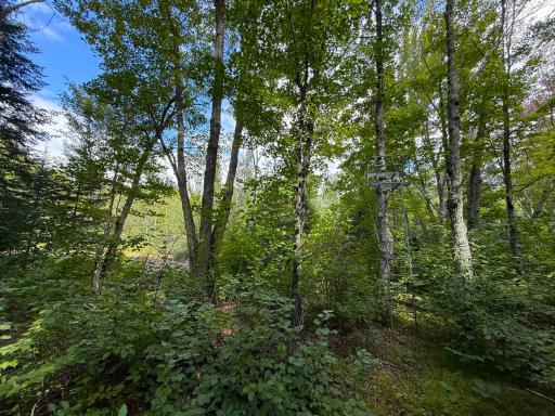 XXX 350th Avenue, Hill City, MN 55748