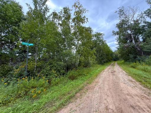 XXX 350th Avenue, Hill City, MN 55748
