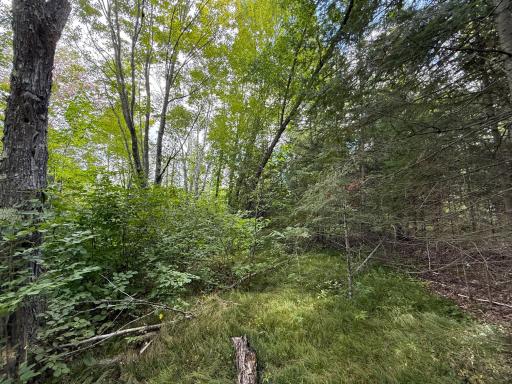 XXX 350th Avenue, Hill City, MN 55748