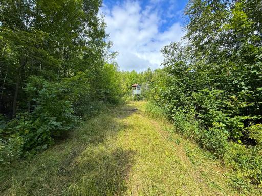 XXX 350th Avenue, Hill City, MN 55748