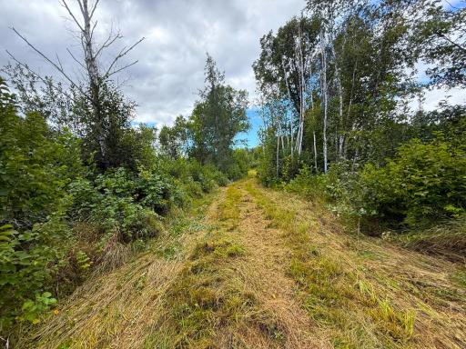 XXX 350th Avenue, Hill City, MN 55748