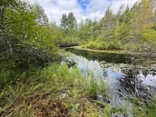 XXX 350th Avenue, Hill City, MN 55748