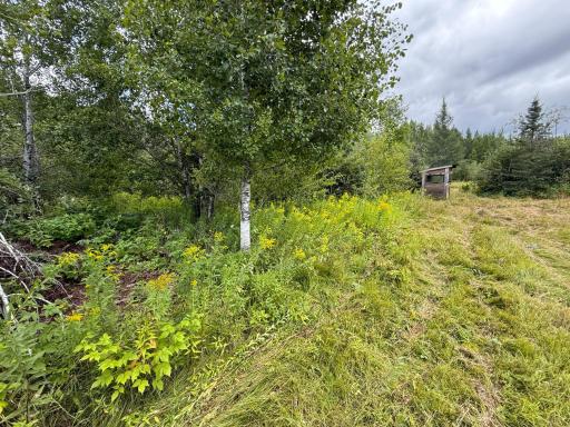 XXX 350th Avenue, Hill City, MN 55748
